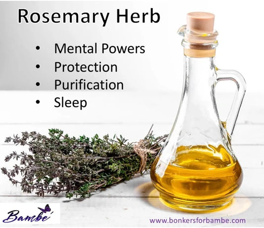 ROSEMARY HERB BENEFITS